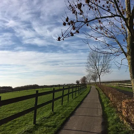 't Reijmerhoefke ベッド・アンド・ブレックファスト