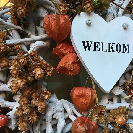 't Reijmerhöfke Bed & Breakfast *