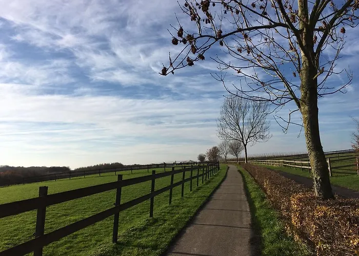 't Reijmerhoefke Bed and breakfast